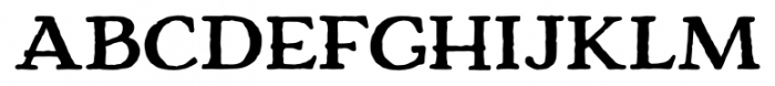 Charcuterie Serif Bold Font UPPERCASE