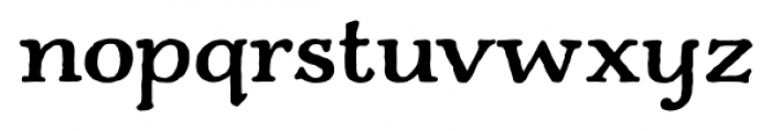 Charcuterie Serif Bold Font LOWERCASE