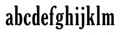 Cheltenham Extra Condensed Pro Bold Font LOWERCASE