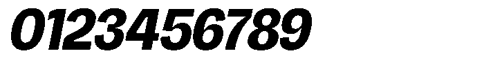 Chairo Neue Bold Semi Condensed Italic Font OTHER CHARS