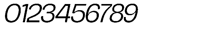 Chairo Neue Light Italic Font OTHER CHARS