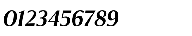 Chakai SemiBold Italic Font OTHER CHARS