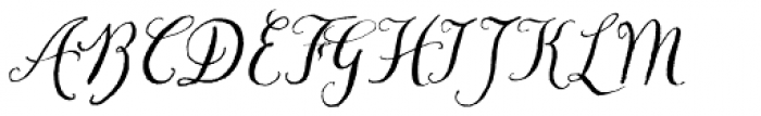 Chameleon Pen Italic Font UPPERCASE