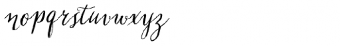 Chameleon Pen Italic Font LOWERCASE