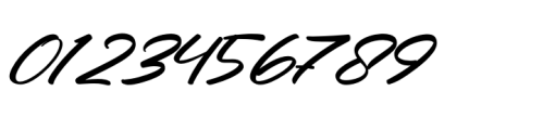 Charity Thomas Italic Font OTHER CHARS