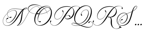 Cherly Hills Typeface Italic Font UPPERCASE