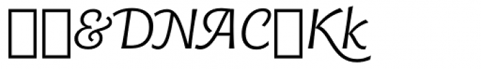 Chianti Italic Swash Font OTHER CHARS