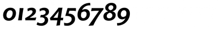 Chianti OSF Bold Italic Font OTHER CHARS