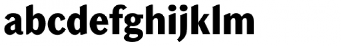 Chong Old Style Pro ExtraBold Font LOWERCASE