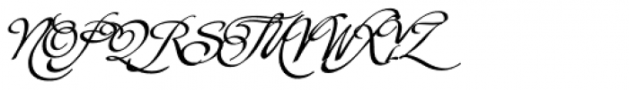 Christophs Quill Swash Bold Font UPPERCASE