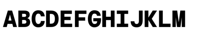 Chromatic Mono Pro Bold Font UPPERCASE