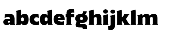 Chunky Delight Heavy FONT