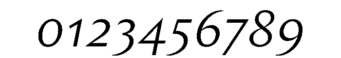 Chap LightItalic Font OTHER CHARS