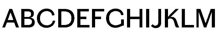 Chiswick Grotesque Regular Font UPPERCASE