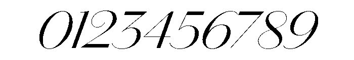 Chiswick Sans Poster Light Italic Font OTHER CHARS