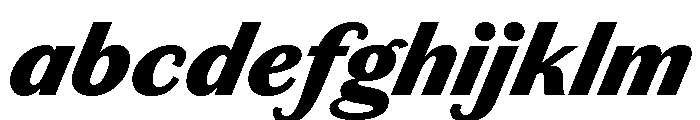 Chiswick Sans Text Black Italic FONT