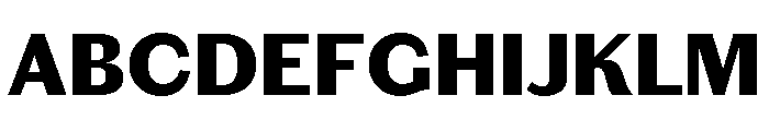 Chiswick Sans Text Black Font UPPERCASE