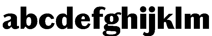 Chiswick Sans Text Black FONT