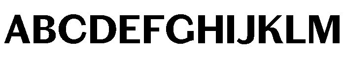 Chiswick Sans Text Bold Font UPPERCASE