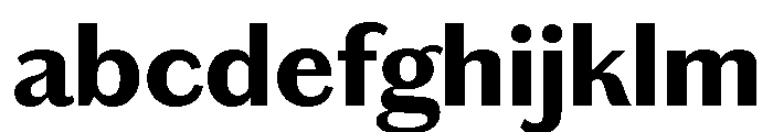 Chiswick Sans Text Bold FONT