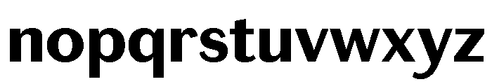 Chiswick Sans Text Bold Font LOWERCASE