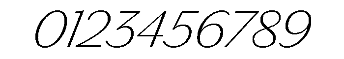 Chiswick Sans Text Thin Italic Font OTHER CHARS
