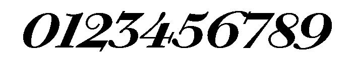 Chiswick Text Bold Italic Font OTHER CHARS