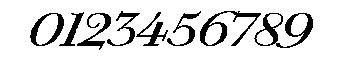 Chiswick Text Regular Italic Font OTHER CHARS