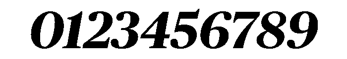 Chubb Publico Bold Italic Font OTHER CHARS