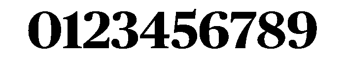 Chubb Publico Bold Font OTHER CHARS