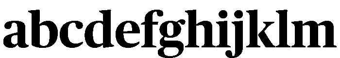 Chubb Publico Bold FONT