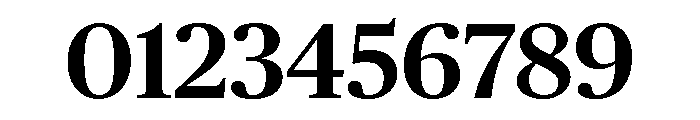 Chubb Publico Medium Font OTHER CHARS