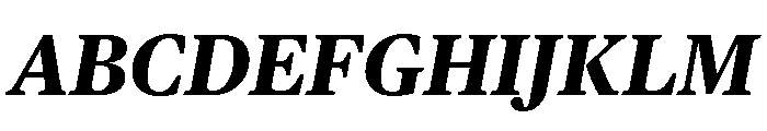 Chubb Publico Text Bold Italic Font UPPERCASE