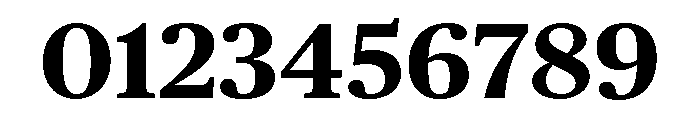 Chubb Publico Text Bold Font OTHER CHARS