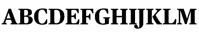 Chubb Publico Text Bold Font UPPERCASE