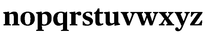Chubb Publico Text Bold Font LOWERCASE