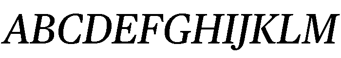 Chubb Publico Text Italic Font UPPERCASE