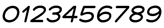 Chankfurter Extended Medium Italic Font OTHER CHARS