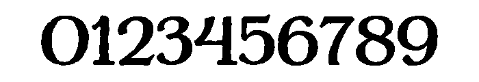 Charcuterie Serif Bold Font OTHER CHARS