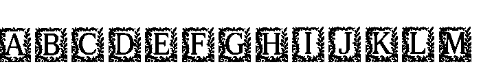 Cincl Regular FONT