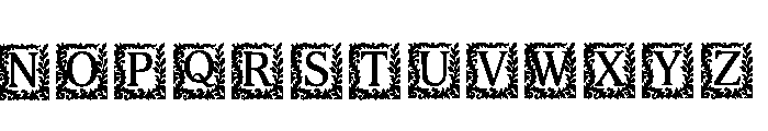 Cincl Regular Font LOWERCASE