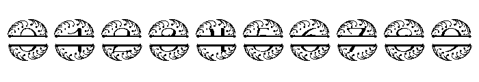 Circulaflora Split Monogram Font OTHER CHARS