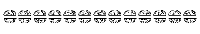 Circulaflora Split Monogram FONT