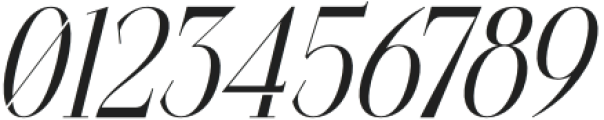 Cisnero Italic otf (400) Font OTHER CHARS