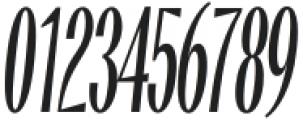 CittaNovela Display Italic otf (400) Font OTHER CHARS