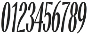 CittaNovela Display Oblique otf (400) Font OTHER CHARS