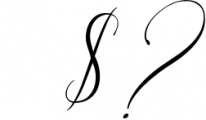 Cintha Elegant Script Font OTHER CHARS