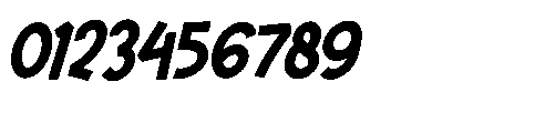 Citrida Italic Font OTHER CHARS