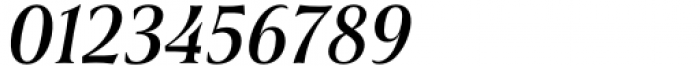 Civane Serif Condensed Medium Italic Font OTHER CHARS