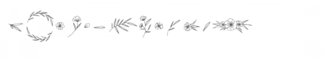 ciera dingbat font floral illustrations Font LOWERCASE